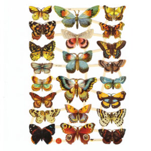 Dresdner Pappen Glanzbilder Schmetterlinge