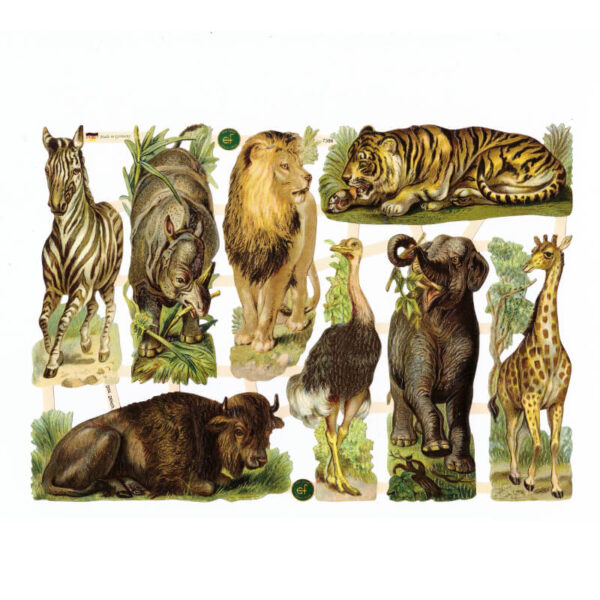 Dresdner Pappen Glanzbilder Tiere aus Afrika